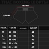 Thaiboxing Тайские Шорты Тайский Бокс «Dragon» Серые