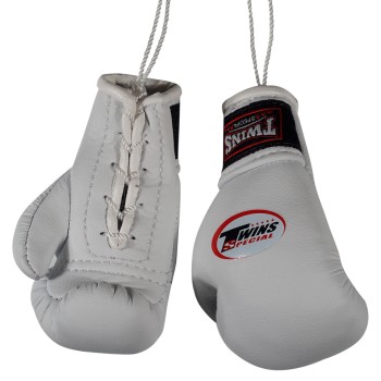 Twins Special Боксерские Перчатки в Машину Сувенирные Белые