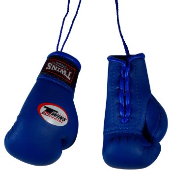 Twins Special Боксерские Перчатки в Машину Сувенирные Синие 