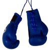 Twins Special Боксерские Перчатки в Машину Сувенирные Синие 