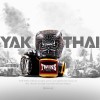 Twins Special FBGVL3-63 "Yak" Боксерские Перчатки Тайский Бокс 