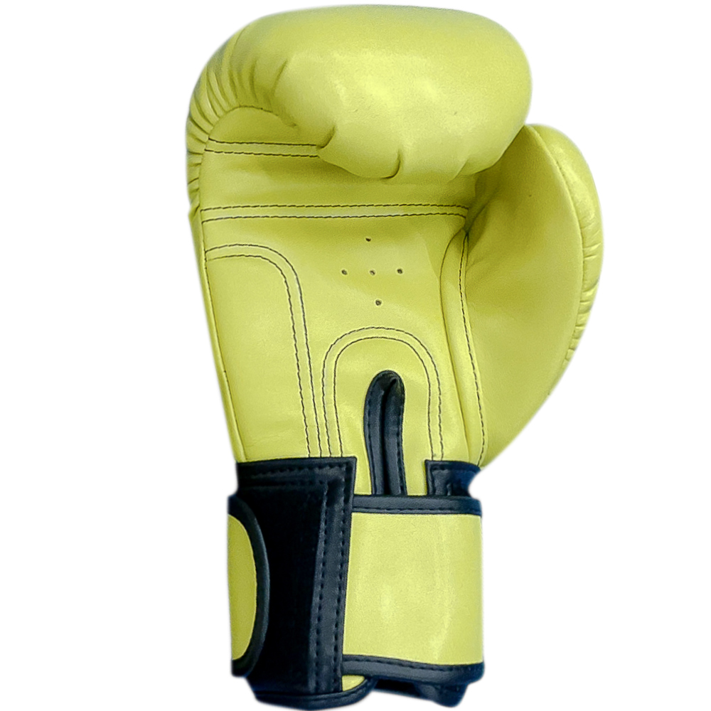 Raja Boxing  "Tattoo V4" Боксерские Перчатки 4 Цвета