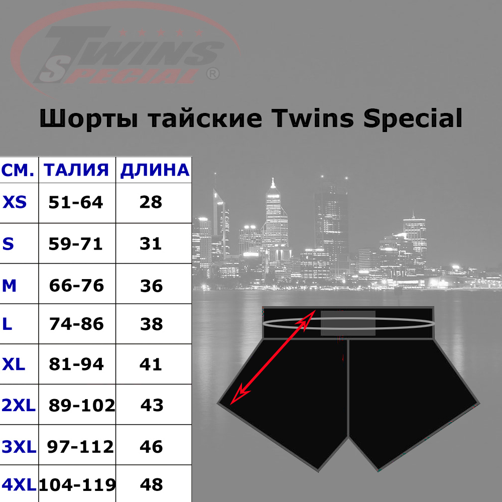 Twins Special Dragon-2 Шорты Тайский Бокс Размер L