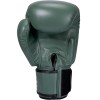 Twins Special BGVL3 Боксерские Перчатки Тайский Бокс Олива
