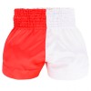 Top King TKTBS-203 Шорты Тайский Бокс 