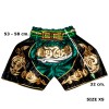 Детские Шорты Тайский Бокс "Thaiboxing" Зеленые с Золотом
