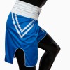 Fairtex BT2009 Шорты Боксерские "Classic" Синие