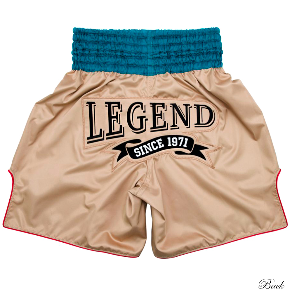 Fairtex BT2010 Шорты Боксерские "Vintage" Размер XL