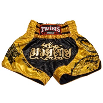 Twins Special Dragon-2 Шорты Тайский Бокс 