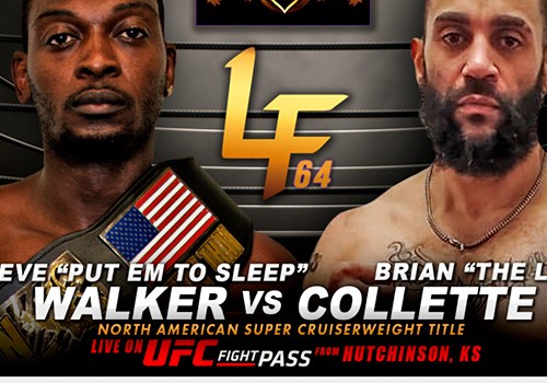 ТОРНАДО. КРАСИВЫЙ НОКАУТ НА LION FIGHT 64