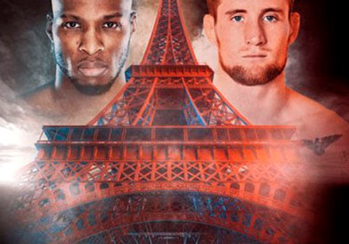 ФРАНЦИЯ ЛЕГАЛИЗОВАЛА ММА