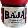 Raja Boxing RJB-P2 Боксерские Перчатки "Double Line" Красный