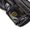 Fairtex BGVG2 "Glory" Боксерские Перчатки Тайский Бокс  Липучка Белые Черные