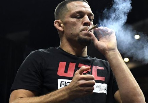 БОЕЦ UFC ВЫКУРИЛ С ФАНАТАМИ КОСЯК