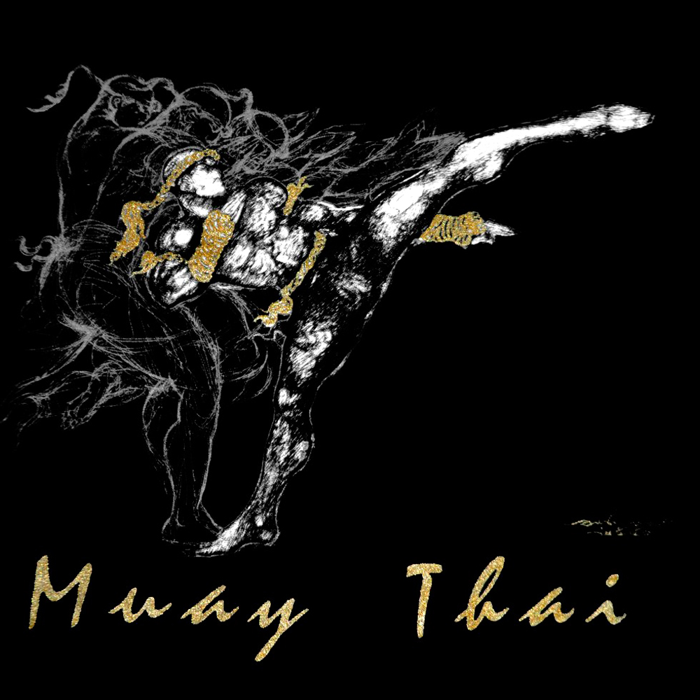 Human FIght Футболка Тайский Бокс Органический Хлопок HN-109