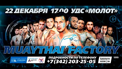 Фабрика муай тай открывается в Перми