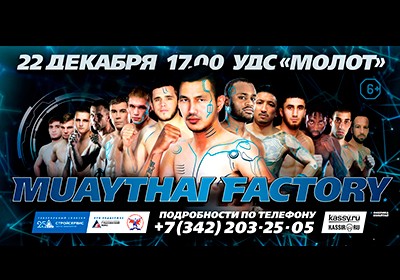 Фабрика муай тай открывается в Перми