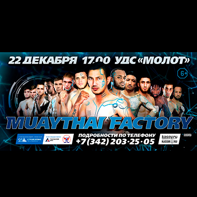 Фабрика муай тай открывается в Перми