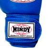 Детские Боксерские Перчатки Windy Тайский Бокс Синие